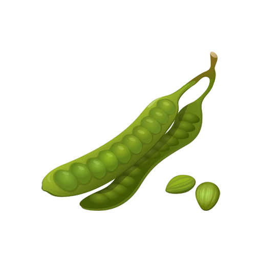 Beans - (Cluster Beans & French Beans)